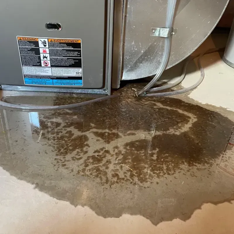 Appliance Leak Cleanup in Elsmere, KY